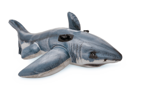 shark